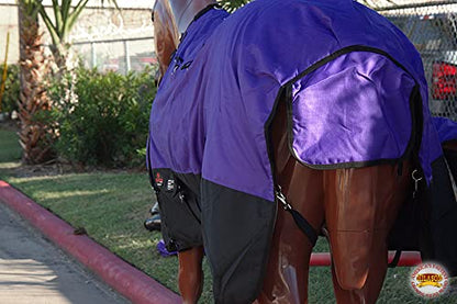 Winter Horse Turnout Blanket Hilason 600D Waterproof Rip-Stop Poly Fill Belly Wrap Shoulder Gussets Purple Black Cold Weather Horse Blanket - size: 84 In