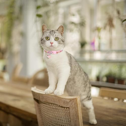 BINGPET Cat Collar Breakaway with Bell, Cute Kitten Collar Accessories - color: Food-3pcs