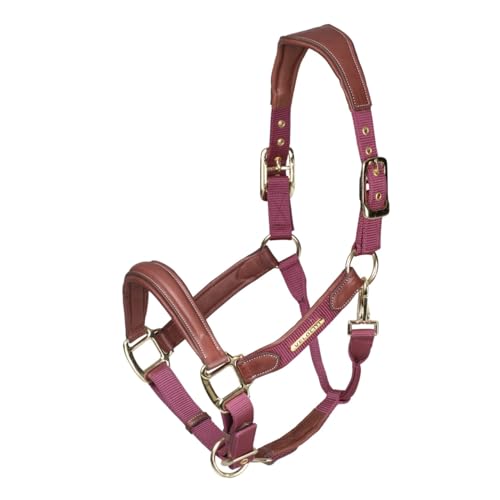 Shires Velociti Lusso Padded Halter - Leather Breakaway - color: Burgundy, size: Full