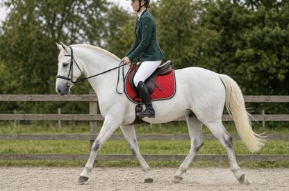 Horse Equine Contoured English Quilted Cotton All Purpose Saddle Pad 72TS37 - color: Red