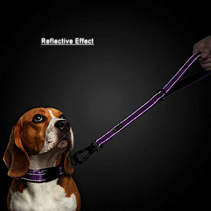 PLUTUS PET Short Training Dog Leash with Padded Handle for Medium Large Big Dogs,18 Inch Heavy Duty Strong Traffic Leash with Carabiner Clip for Climbing Walking or Guiding Blind (18",Purple) | Reflective, Heavy Duty Strong Nylon, Traffic Leash with Carab