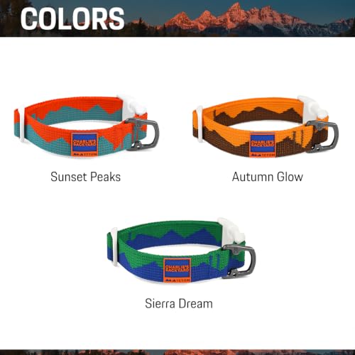 Charlie’s Backyard Teton Dog Collar, Urban to Trail Lightweight & Adjustable with Quick Release DURAFLEX Buckle, Durable D-Ring & All-Day Comfort, Autumn Glow, Large - color: Autumn Glow, size: Large