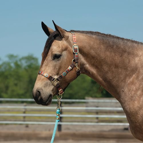 Weaver Leather Lost Creek Nylon Adjustable Horse Halter