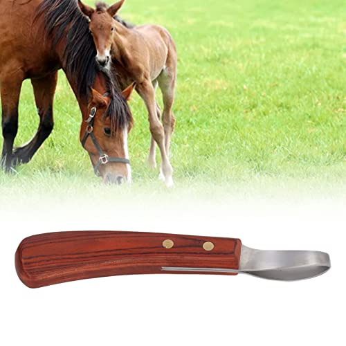 Hoof Knife for Horses on Both Sides, Loop Knife Horse, Farrier Knife, Horse Hoof Knife with Wooden Handle, Cattle Hoof Cutter, Stainless Steel Hoof Knife, Trimming Tool for