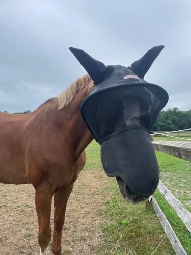 Solar Vizor Horse Fly Mask with Ear and Nose (Size Full), Innovative Design - 100% UV Eye Protection for Horses with Uveitis, Photosensitivity, Ulcer, Head Shaking, Protecs from Flies, Insects, Dust - size: FULL