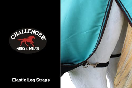 Challenger 1200D Turnout Rain Horse Sheet Light Winter Blanket 371 - color: Turquoise Brown, size: 84 inches