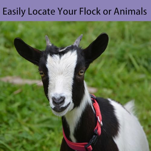 3 Pack Cow Horse Sheep Anti-Lost Bronze Bell, Adjustable Nylon Goat Collar with Bells Set for Cow Goat and Small Farm Animal Pet