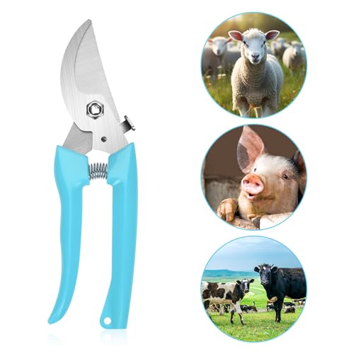 PEUTIER 3pcs Goat Hoof Trimmers and File, Nail Clippers for Goats Hoof Nippers Curved/Straight Head Sheep Hoof Trimming Shears Hoof Rasp Horseshoe File for Goat Sheep Lamb Pig Animal Hooves (Blue)