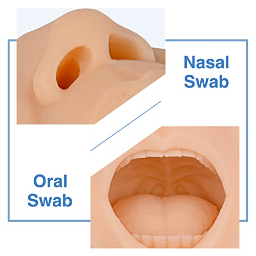 Nasal Swab Training Model, Throat and Oral Swab Collection Simulator, White - color: white