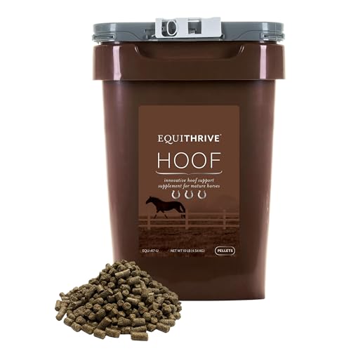 Equithrive Horse Hoof Supplement Pellets with Biotin, Chelated Trace Minerals, Selenium, Methionine, and Omega 3, Equine Hoof Care, 10 lbs - size: 160 Fl Oz (Pack of 1)