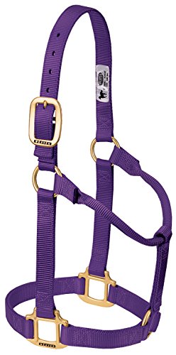 Weaver Leather Original Non-Adjustable Nylon Horse Halter