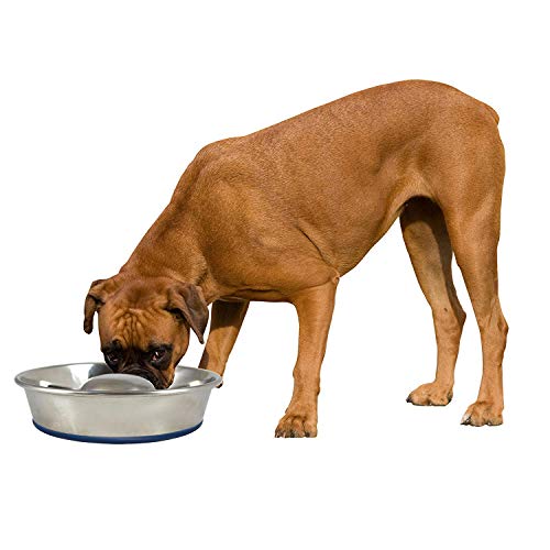 OurPet's DuraPet Slow Feed Stainless Steel Dog Bowl, Silver, Large - size: Large (6 Cups)