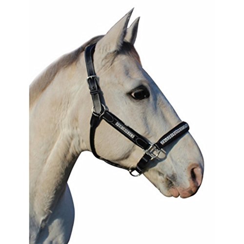 Henri de Rivel Replacement Throat Latch for Mono Crown Bridles - color: Black w/ Black Crystal, size: Cob