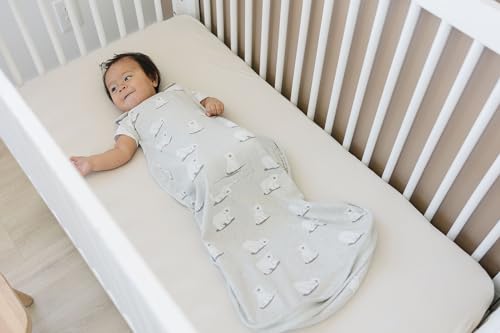Woolino Merino Wool & Organic Cotton Baby Sleep Sack 2-24 Months – Ultimate 4-Season Baby Sleeping Bag, Universal Size Wearable Blanket, 2-Way Zipper & Adjustable Fit, Year-Round Use - Polar Bear - color: Polar Bears