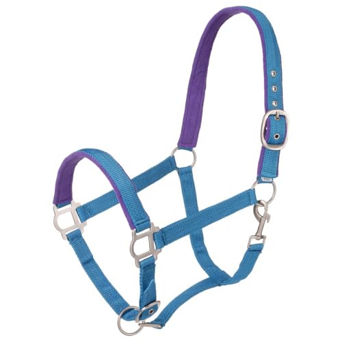 Tough1 Padded Halter with Satin Hardware - color: Turquoise, size: Yearling