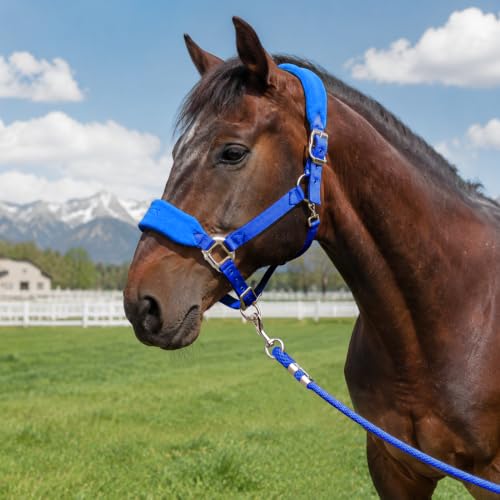 Fleece Horse Halter and Lead Rope Set - color: Royal Blue, size: COB