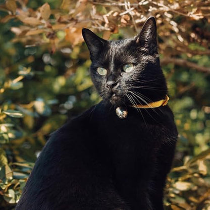 Beau's Bells V2 | Cat & Dog Collar Bells with New Quick Loop Easy Release Clip | Handmade Copper | Track Your Pet | Protect Wildlife - size: Small