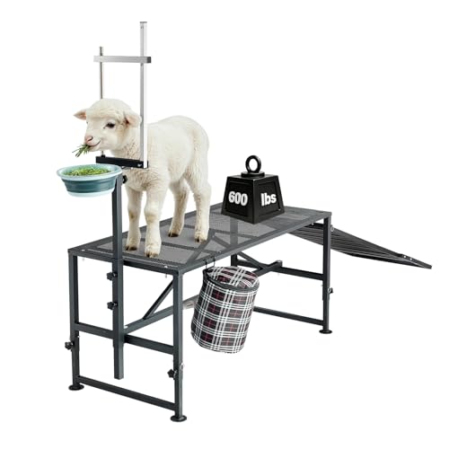 VEVOR Goat Milking Stand, 600 lbs Heavy Duty Goat Stand with Ramp & Feed Bin, Adjustable Headpiece & Tool Basket, Stanchion for Grooming & Hoof Trimming, Metal Livestock Platform for Sheep Lamb, Black - color: Black, size: 51"x23"x33"(with Ramp & Feed Bin