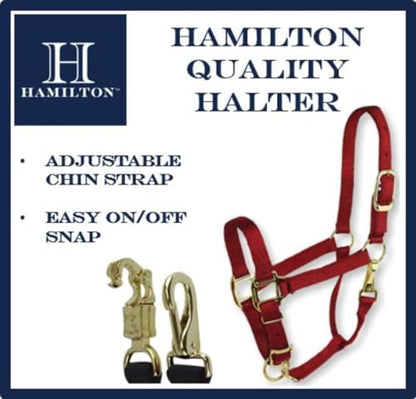Hamilton Quality Adjustable Horse Halter, 800-1100 lbs, Black | Premium Quality Triple Ply Nylon, Average/Arabian/Yearling Draft, Adjustable Chin Strap, Throat Snap, Brass Plated Hardware - color: Black, size: Average, 800-1100lbs