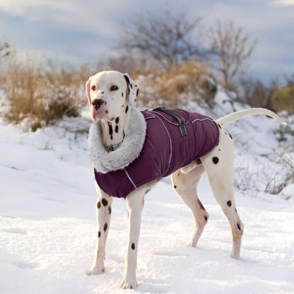 Lelepet Dog Jackets for Small Dogs Waterproof Dog Coat with Adjustable Fit - color: Dark Purple, size: M
