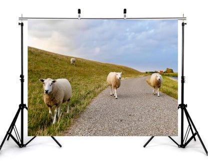 5x3ft Fabric Pasture Sheep Backdrop White Wool Sheep Gravel Path Green Grass Hill Cloudy Sky Background Tapestry Party Farm Animal Wall Decorations Photo Booth Props - size: 5x3ft