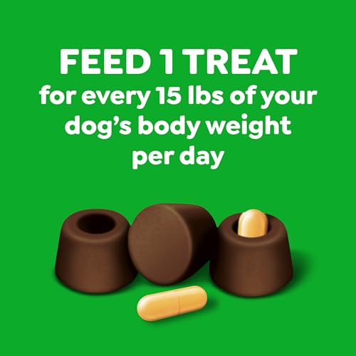Greenies Pill Pockets Large Size Dog Treats, Hickory Smoke, 7.9 oz | Capsule size, hickory smoke flavor, masks medicine odor, low calorie, stress-free, Dog Treat Pouch for Capsule Medication - size: 30 Count (Pack of 1)
