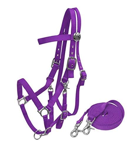 Nylon Combination Halter Bridle w/Reins - color: Purple