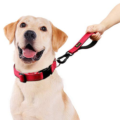 PLUTUS PET 10” Short Dog Leash, Reflective Nylon Padded Handle, Strong Traffic Leash with Carabiner Clip, Perfect for Large or Medium Dogs（10”，Red | Reflective, Heavy Duty Strong Nylon, Traffic Leash with Carabiner Clip for Training Walking (10", Red) - c