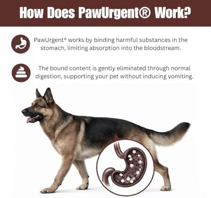 PawUrgent Activated Charcoal Gel for Dogs Poisoning,(2 Pack) 30cc Dog First Aid Activated Charcoal, Animal Use Only, Premium Pet Support for Pet Owners (2 Pack) - size: 2 pack