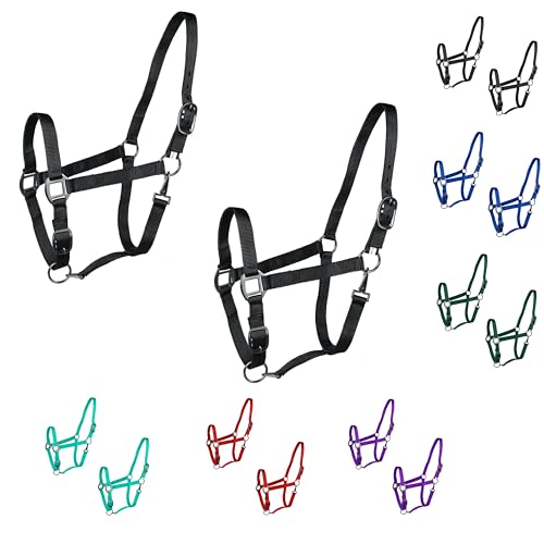 Majestic Ally Pack of 2 Adjustable Halter for Horses–Adjustable Chin and Crown– Sewn-in Throat Snap Hook- Heavy Duty Rose Gold or Black Nickel Finish Hardware–Full - color: Black-Rose Gold