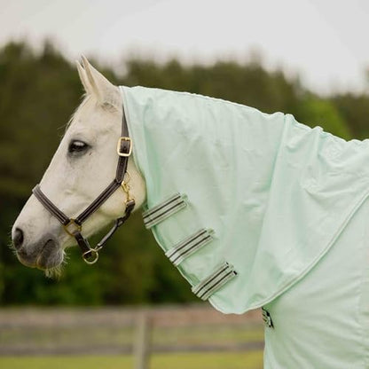 Equinavia Brisk Mesh Horse Fly Sheet with Neck Coverage, UV Protection - color: Misty Jade, size: 81 in