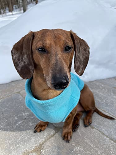Gooby Zip-Up Fleece Dog Sweater, Turquoise, X-Small - color: Turquoise, size: X-Small chest (~11")