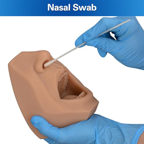 Nasal Swab Training Model, Throat and Oral Swab Collection Simulator - color: brown
