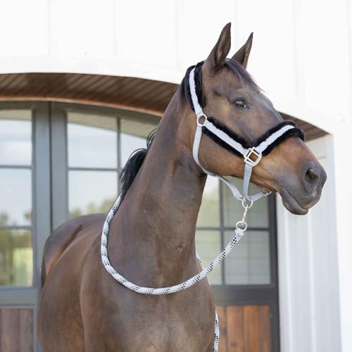 Equinavia Valkyrie Ultra Fleece Soft Padded Horse Halter Breakaway - color: Slate Grey/Black, size: Cob