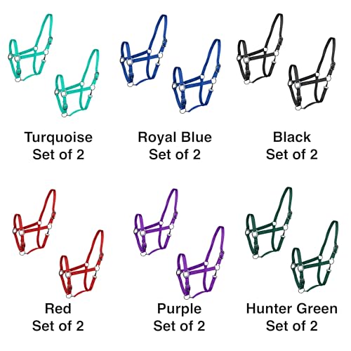 Majestic Ally Pack of 2 Adjustable Halter for Horses–Adjustable Chin and Crown– Sewn-in Throat Snap Hook- Heavy Duty Rose Gold or Black Nickel Finish Hardware–Full - color: Hunter Green