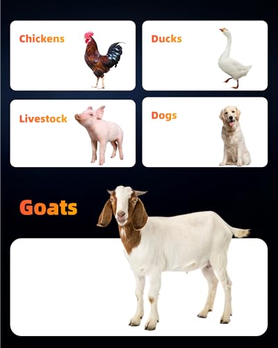 4-Pack 5 Qt Hanging Goat Feeders and Mineral Troughs for Fences - color: 4 Pack