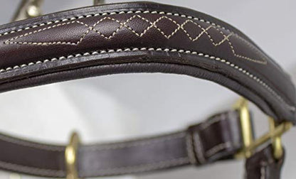 Derby Originals American Elite Fancy Stitch Padded Adjustable Halter - size: Over-Size