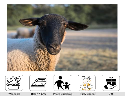 17x10ft Fabric Black Face Wool Sheep Close Up Backdrop Farm Grass Pasture Blurred Green Bush Background Tapestry Party Farm Animal Portrait Decorations Banner Photo Booth Props - size: 17x10ft