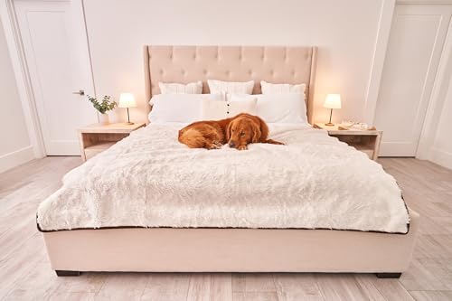 PupProtector Waterproof Throw Blanket for Dogs and Cats, Pet Blanket Cover for Couches, Sofas, Beds, Car Seats, Furniture, Calming Soft Faux Fur, Short White, Large (80" L x 62" W) | Waterproof, machine washable — protects couches, beds & car seats - colo
