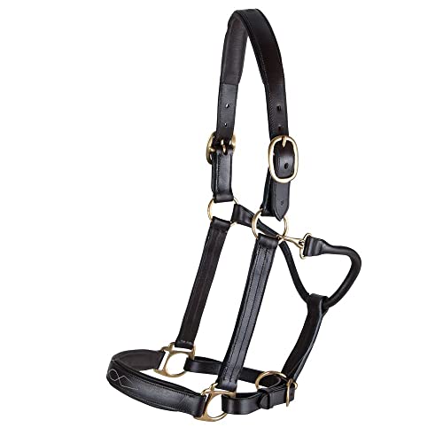 Schneiders Premier Dorchester Padded Leather Halter for Horses | Fancy Stitch Detailing | Soft Buffalo Leather | Padded for Comfort - size: Thoroughbred