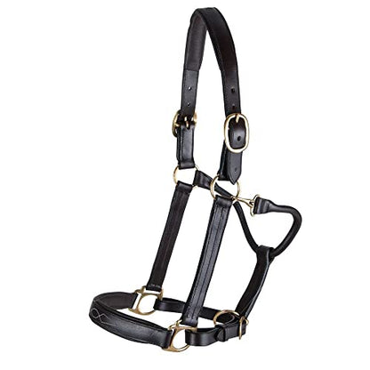 Schneiders Premier Dorchester Padded Leather Halter for Horses | Fancy Stitch Detailing | Soft Buffalo Leather | Padded for Comfort - size: Oversize