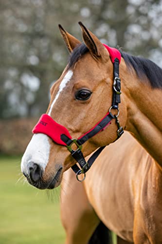 LeMieux Vogue Fleece Headcollar - Halter & Leadrope - Extra Padding, Adjustable at Curb and Poll Strap - color: Chilli, size: cob
