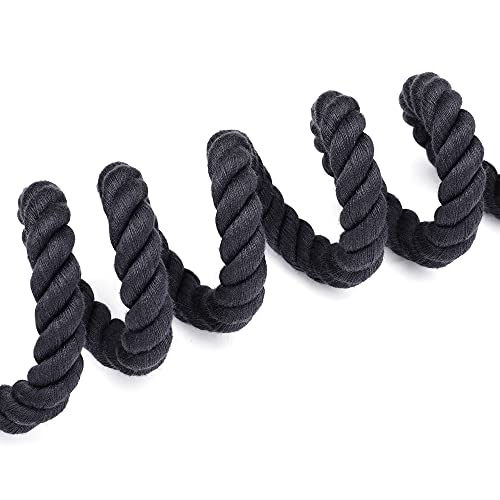 Mile High Life Dog Leash Braided Cotton Rope with Leather-Reinforced Ends - color: Dark Grey, size: 48 Inch-1/2"
