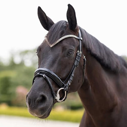 HORZE Grayson Classic Leather Ergonomic Snaffle Dressage Bridle with Detachable Flash - color: Black, size: Pony