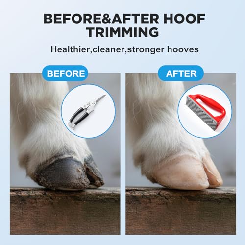 Goat Hoof Trimmers Shears Kit with Rasp, Sheep Care Tool Black Red - color: Black Trimmers Red Rasp