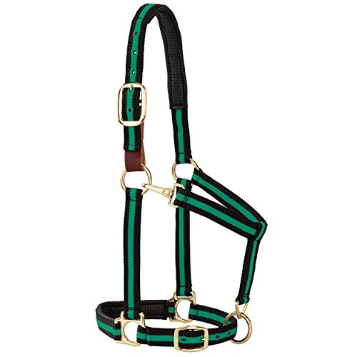 Weaver Equine Breakaway Horse Halter, Comfort Foam Padding, Adjustable Chin & Throat Snap Halters for Horses, Equine Tack,Average Size - color: Green/Black