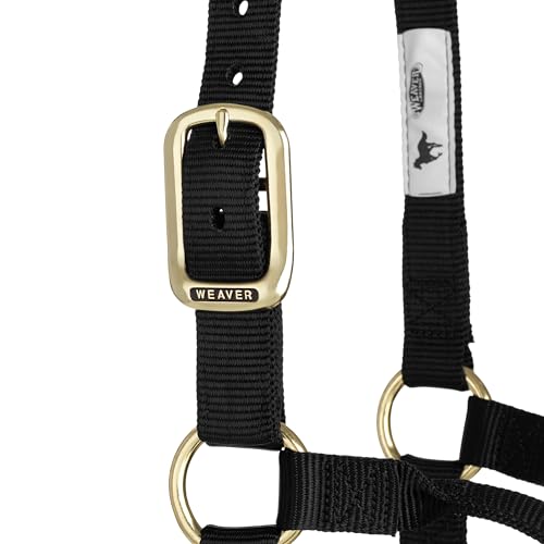 Weaver Leather Original Non-Adjustable Nylon Horse Halter, Large, Black