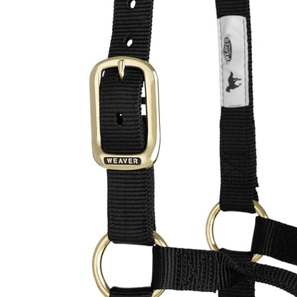Weaver Leather Original Non-Adjustable Nylon Horse Halter, Black, Yearling