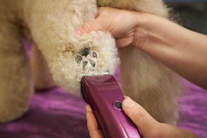 Wahl Professional Animal Bravura Lithium Ion Clipper, 41870-0423, Purple - color: Purple