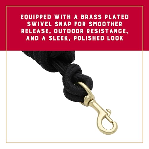 Weaver Equine 10' Performance Lead Rope, Brass-Plated Snap - color: Black